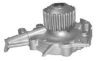 HEPU P7523 Water Pump